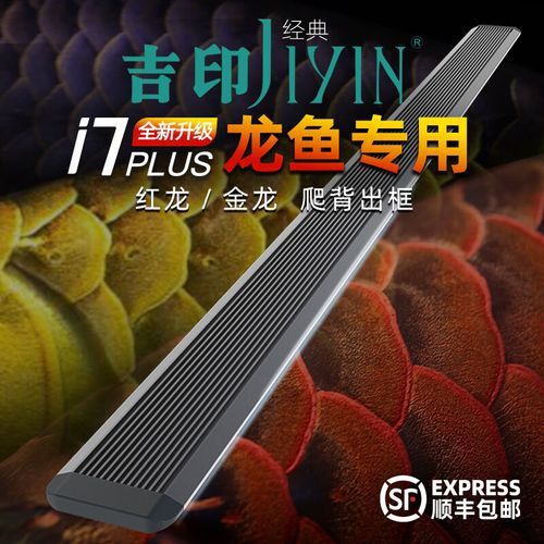 推薦幾款龍魚發(fā)色燈品牌