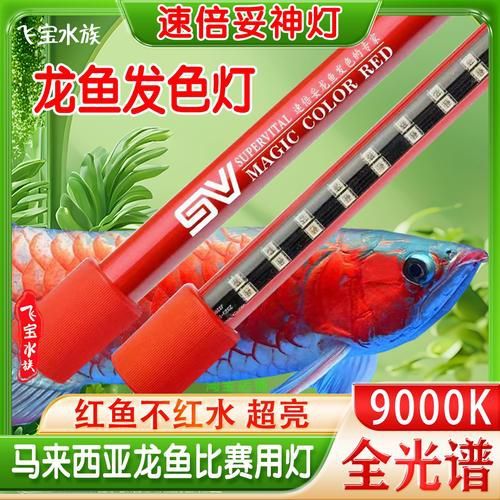 推薦幾款龍魚發(fā)色燈品牌