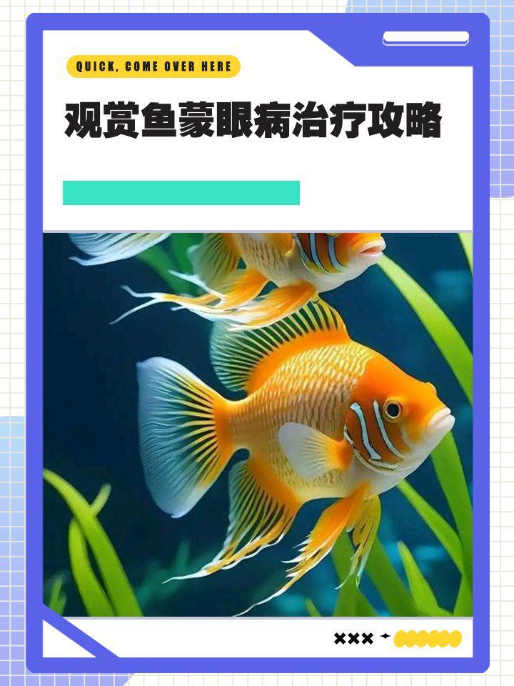 觀賞魚蒙眼病能徹底治愈嗎？ 觀賞魚蒙眼病能徹底治愈嗎？ 龍魚百科 第2張