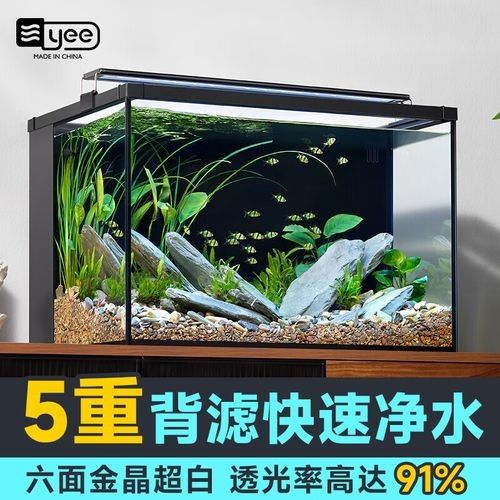 yee品牌 yee品牌 觀賞魚百科 第3張