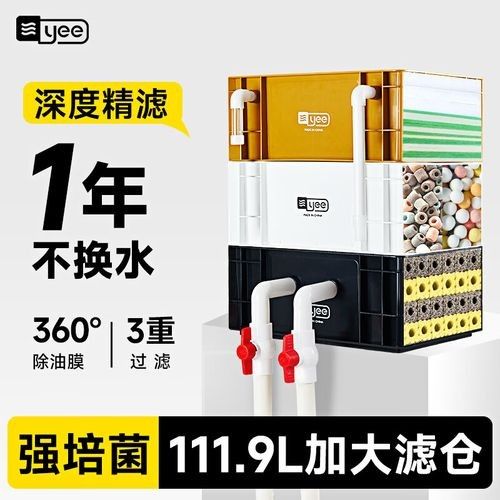 yee品牌 yee品牌 觀賞魚百科 第5張