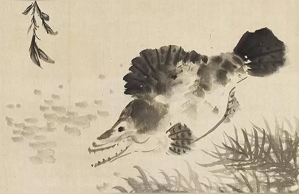 漢中水族批發(fā)市場(chǎng)：漢中市水族批發(fā)市場(chǎng)