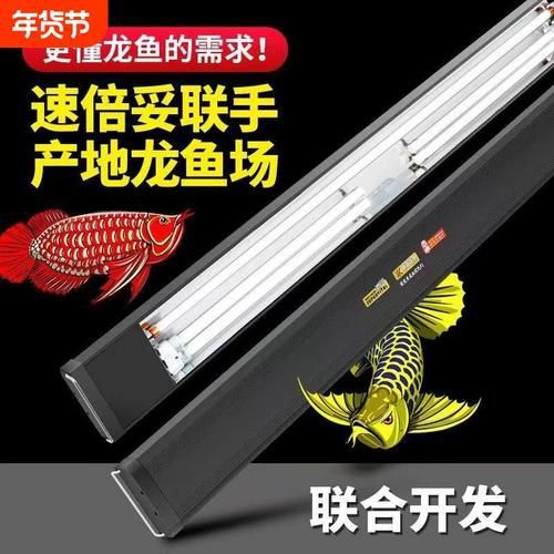 給我推薦幾款性價比高的龍魚發色燈管