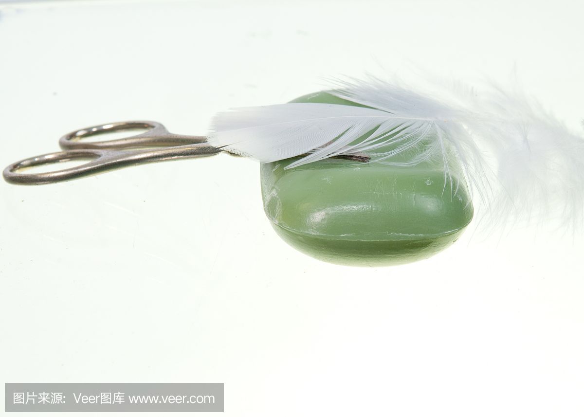 羽毛刀魚苗日常護理要點，羽毛刀魚苗的日常護理