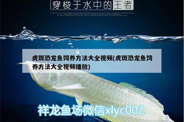 關于立鱗病
