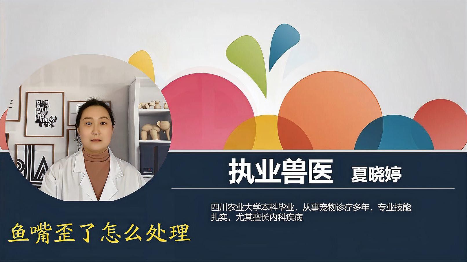 龍魚嘴歪了如何處理好