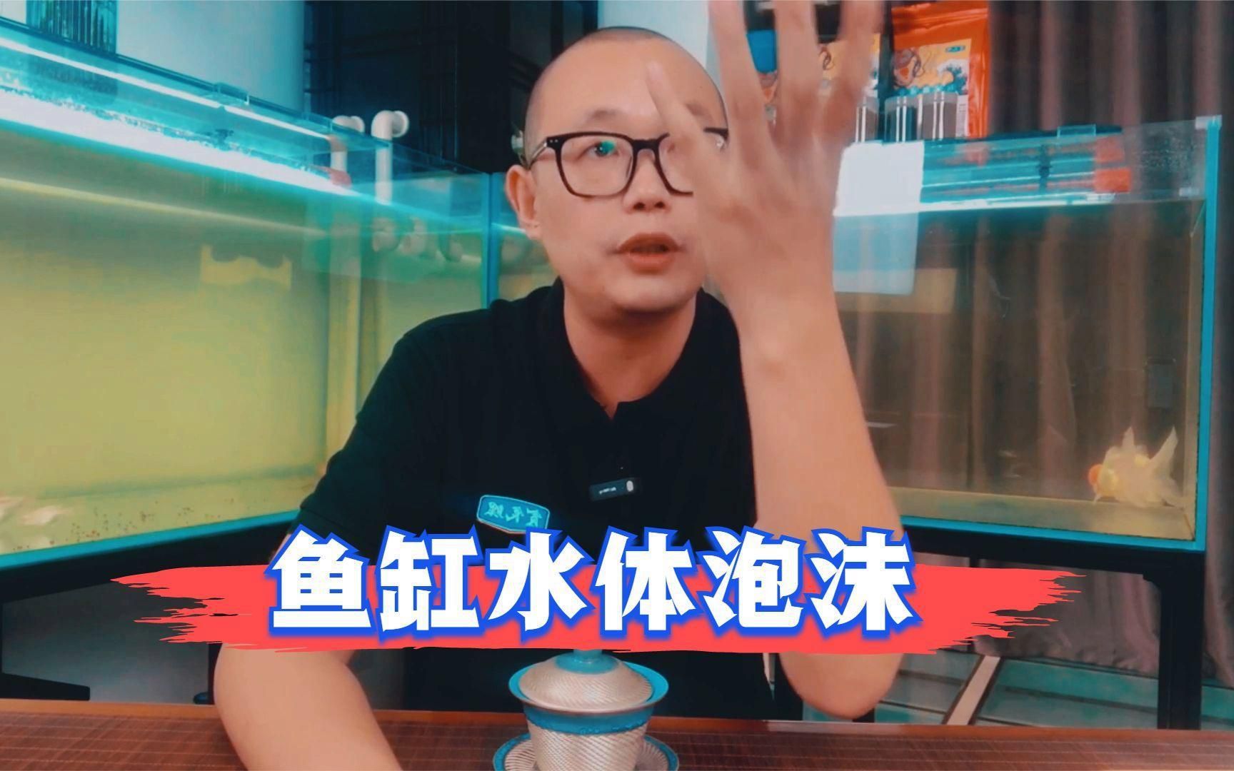 如何預(yù)防魚缸邊緣出現(xiàn)小泡泡？