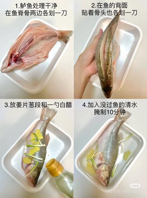 魚須子爛了最簡單處理方法圖片 魚須子爛了最簡單處理方法圖片 觀賞魚百科 第2張