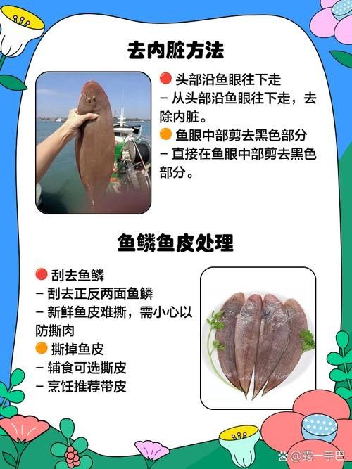 魚須子爛了最簡單處理方法圖片 魚須子爛了最簡單處理方法圖片 觀賞魚百科 第3張