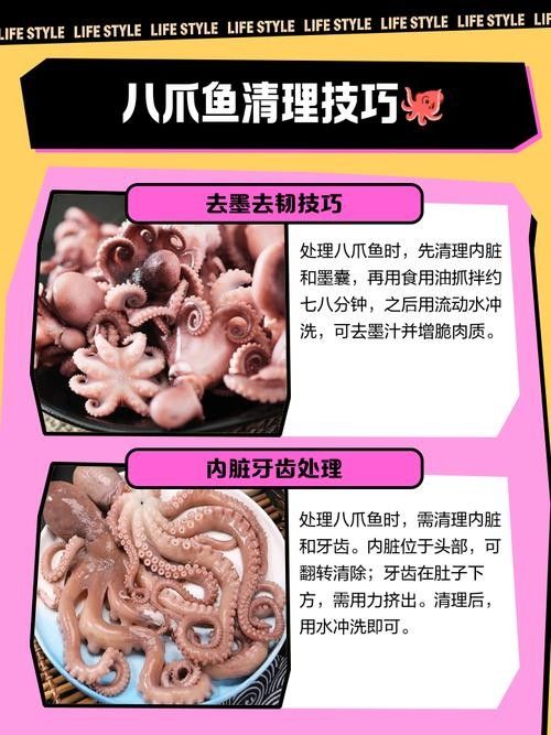 魚須子爛了最簡單處理方法圖片 魚須子爛了最簡單處理方法圖片 觀賞魚百科 第4張