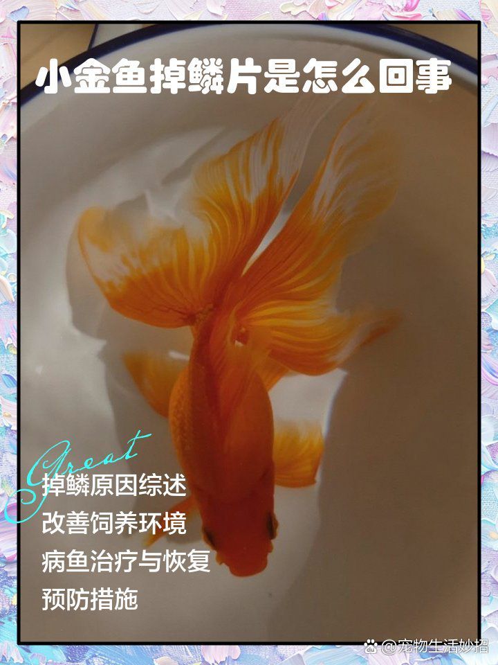 哪些魚容易出現鱗片脫落？