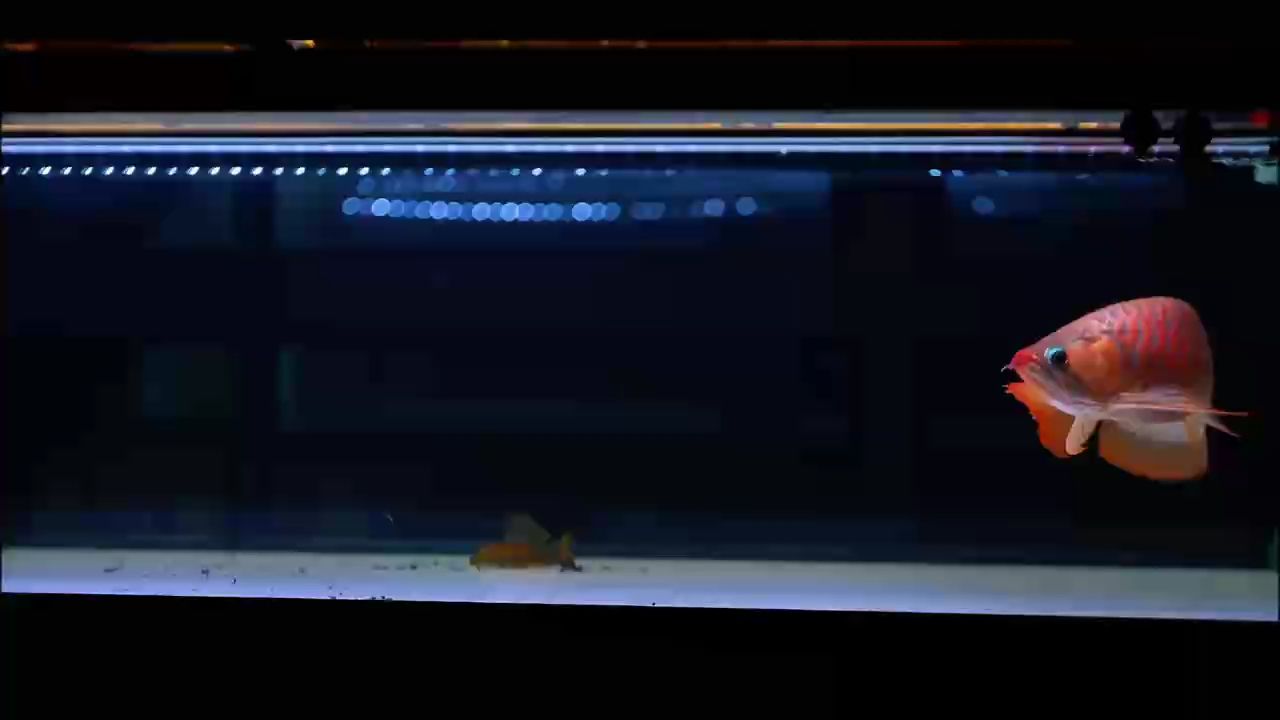 [deyi][deyi][deyi][deyi][deyi][deyi][deyi][deyi]