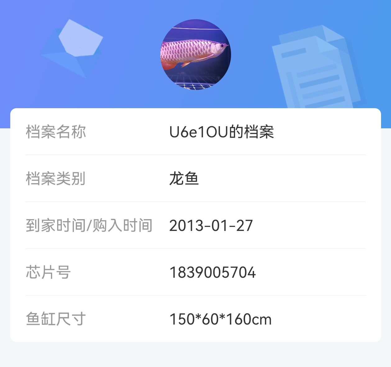 12 年又 313 天的陪伴。 12 年又 313 天的陪伴。 龍魚論壇 第2張