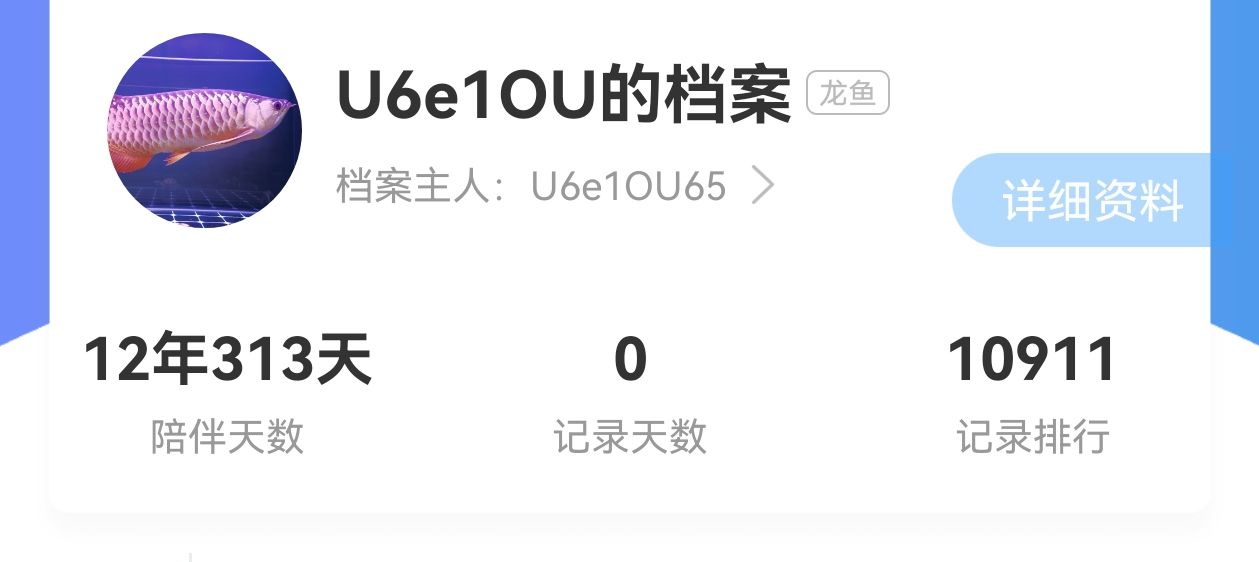 12 年又 313 天的陪伴。 12 年又 313 天的陪伴。 龍魚論壇 第3張