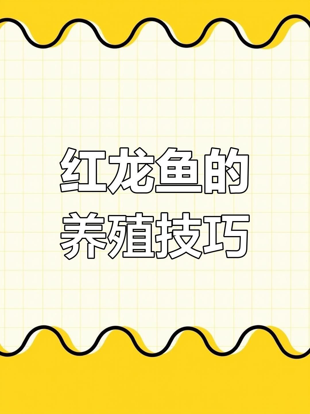 禹會紅龍魚 禹會紅龍魚 觀賞魚百科 第2張