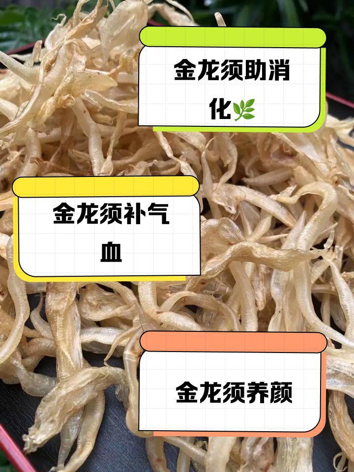 龍須胡子有哪些功效 龍須胡子有哪些功效 龍魚百科 第1張