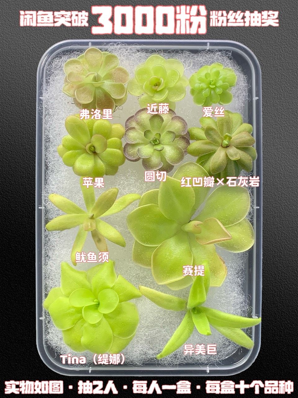 閑魚粉絲抽獎～ 閑魚粉絲抽獎～ 龍魚論壇