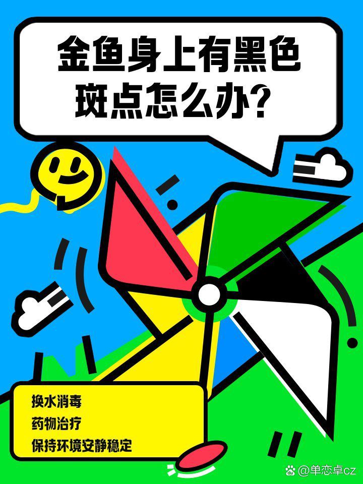 如何預(yù)防魚黑斑病？