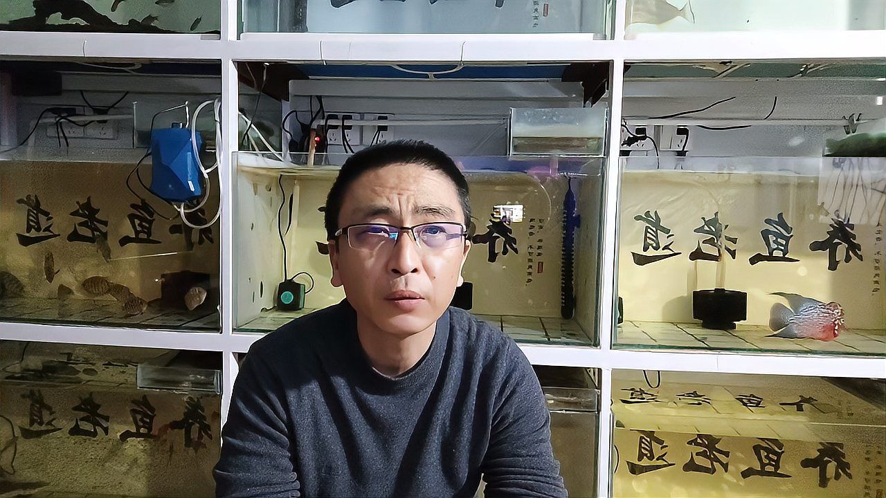 如何預(yù)防魚黑斑病？
