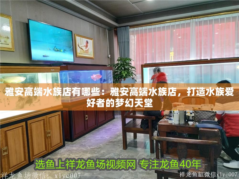 雅安高端水族店有哪些:雅安高端水族店,打造水族愛好者的夢幻天堂 觀賞魚百科 第1張 雅安高端水族店有哪些:雅安高端水族店,打造水族愛好者的夢幻天堂 雅安高端水族店有哪些:雅安高端水族店,打造水族愛好者的夢幻天堂 觀賞魚百科 第1張