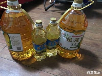 龍魚得了水霉怎么辦啊圖片視頻（龍魚得了水霉怎么辦啊圖片視頻大全）
