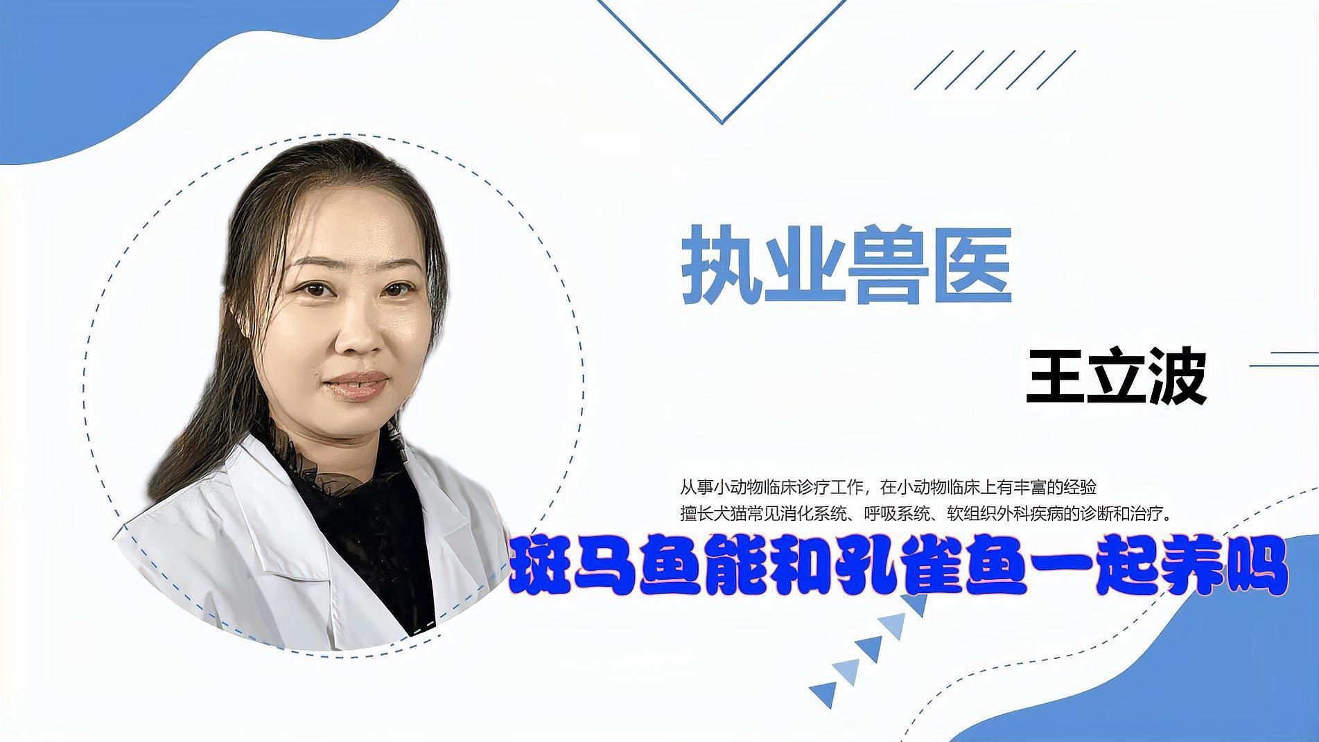 哪些魚適合與斑馬魚混養？