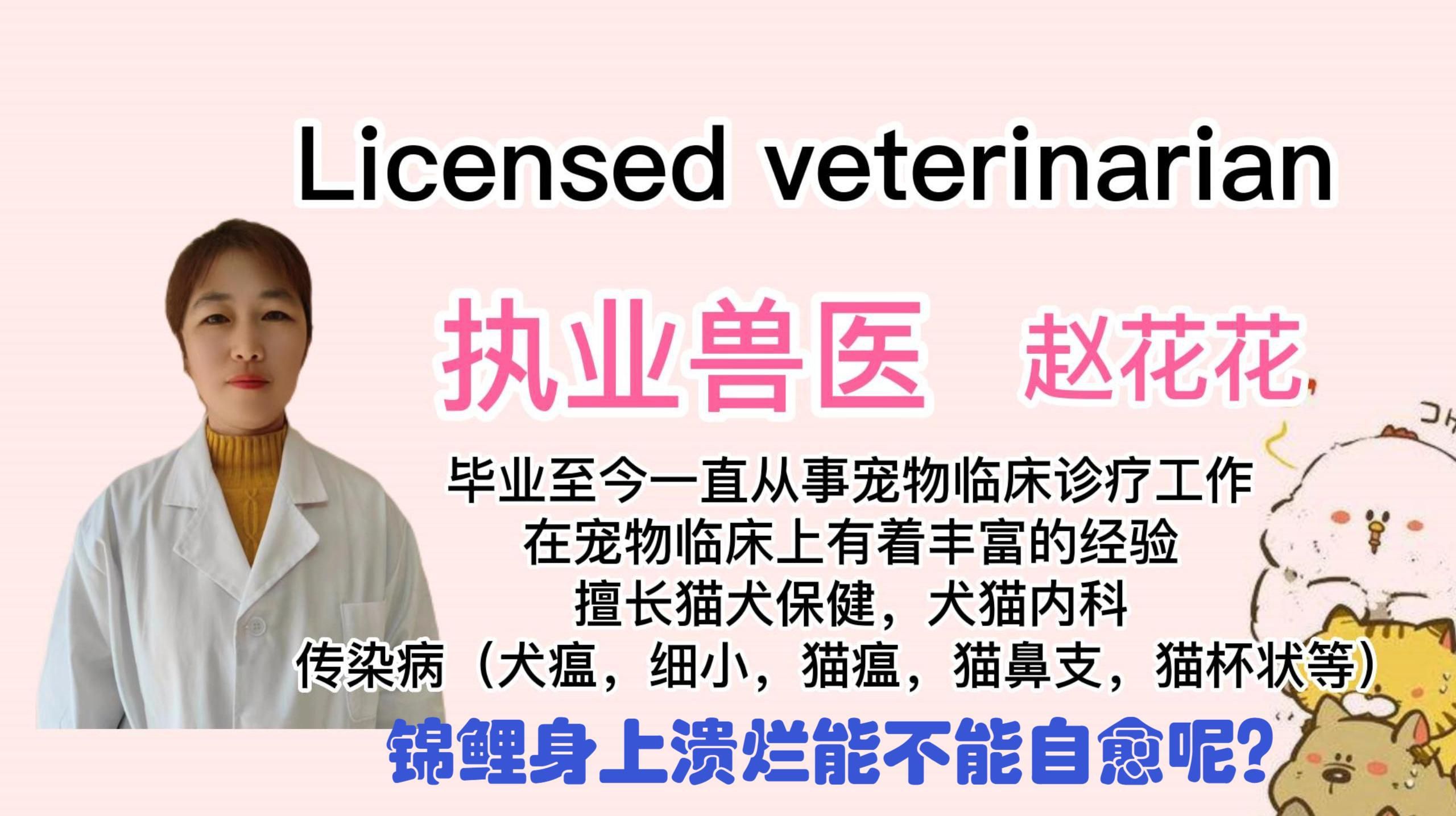 魚身上潰爛會自己好嗎？