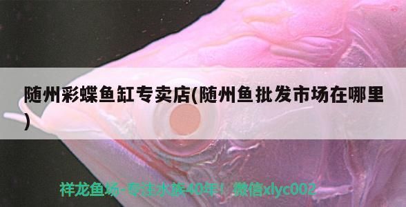 適合養(yǎng)龍魚的魚缸有哪些，養(yǎng)龍魚什么牌子的魚缸好