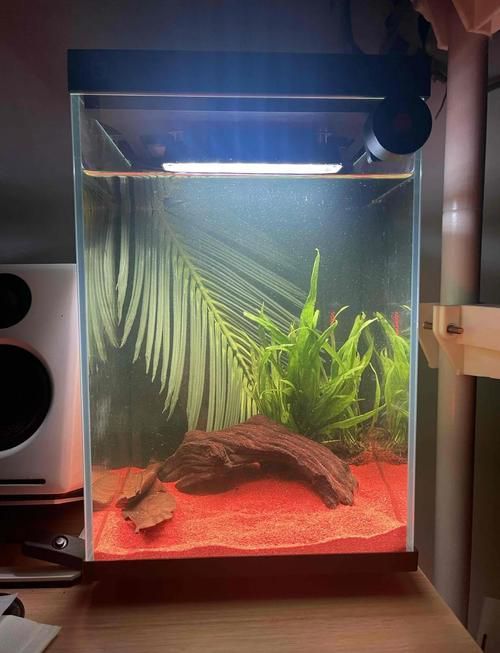 能推薦幾款三色魚缸燈嗎？