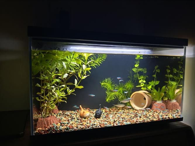 能推薦幾款三色魚缸燈嗎？