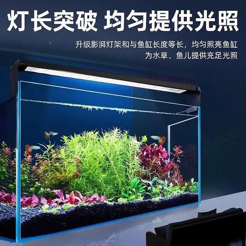 能推薦幾款三色魚缸燈嗎？