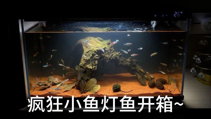 能推薦幾款三色魚缸燈嗎？