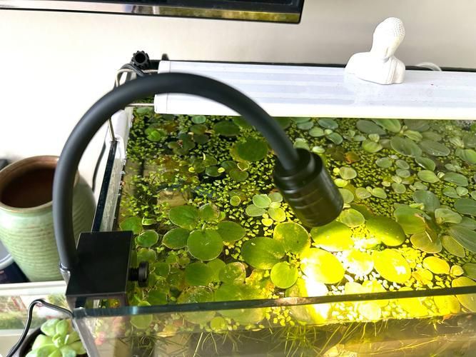 能推薦幾款三色魚缸燈嗎？