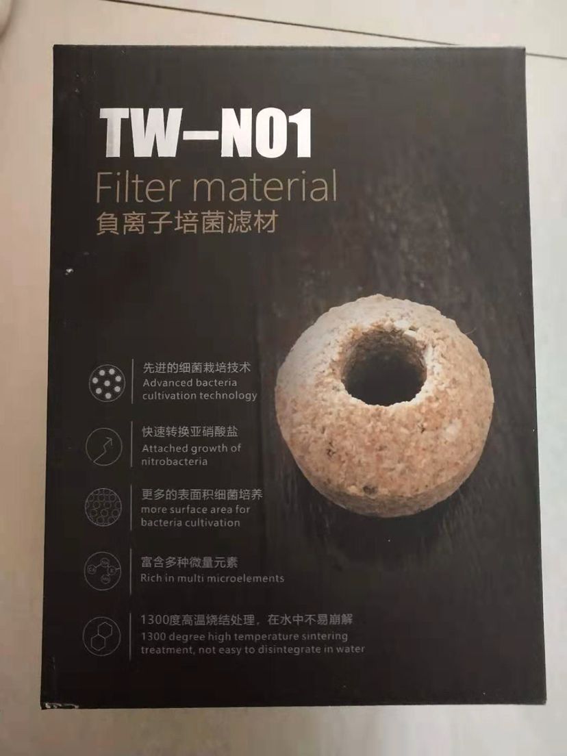 《小醉，論龍巔這5個月》