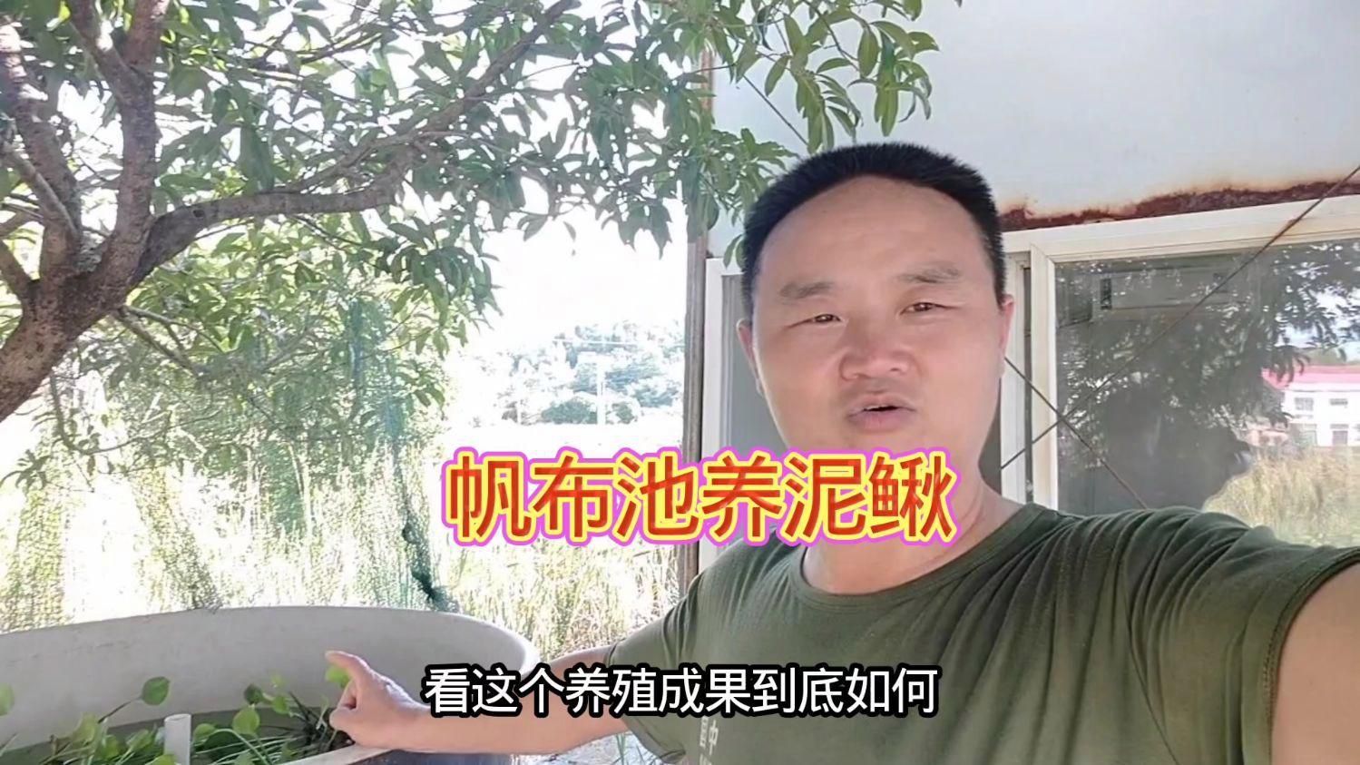 養小泥鰍需要多大的容器？ 養小泥鰍需要多大的容器？ 龍魚百科