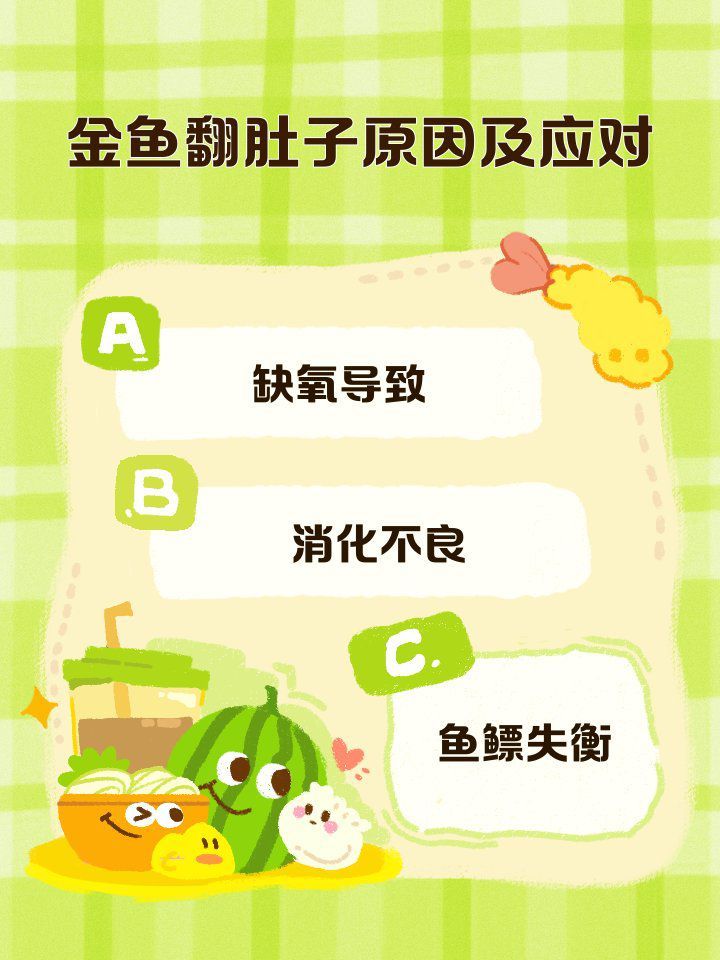 七彩銀龍魚多久換一次水?,七彩銀龍魚日常養護checklist 龍魚百科 第2張 七彩銀龍魚多久換一次水?,七彩銀龍魚日常養護checklist 七彩銀龍魚多久換一次水?,七彩銀龍魚日常養護checklist 龍魚百科 第2張