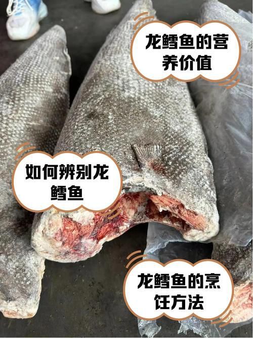 如何區分鱈龍魚和鱈魚？