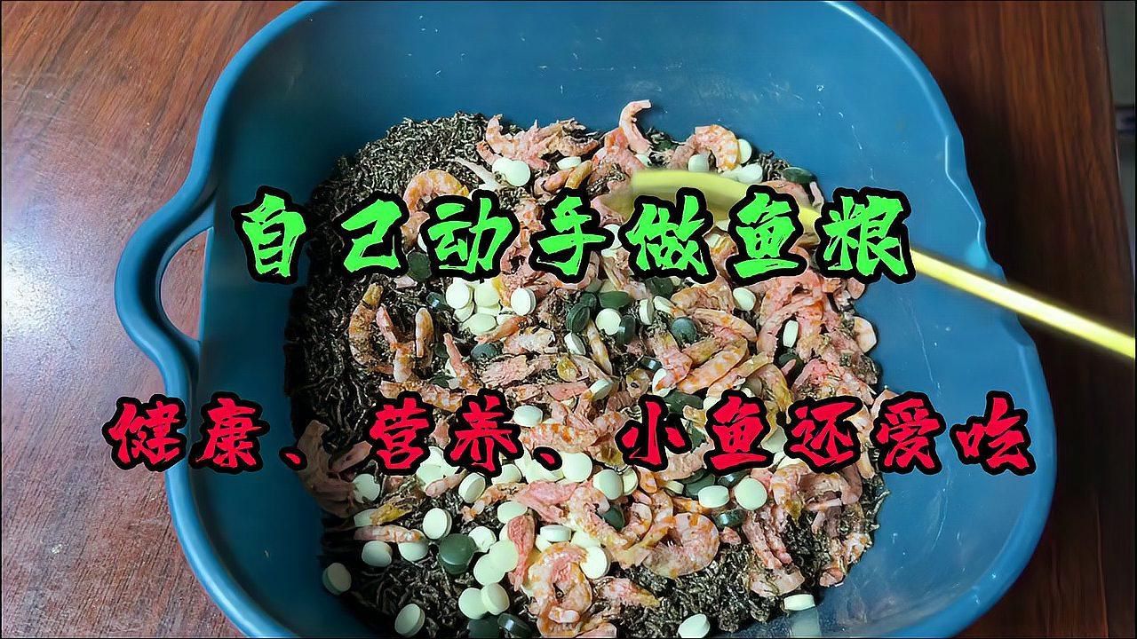 如何自制龍魚的營養魚糧？