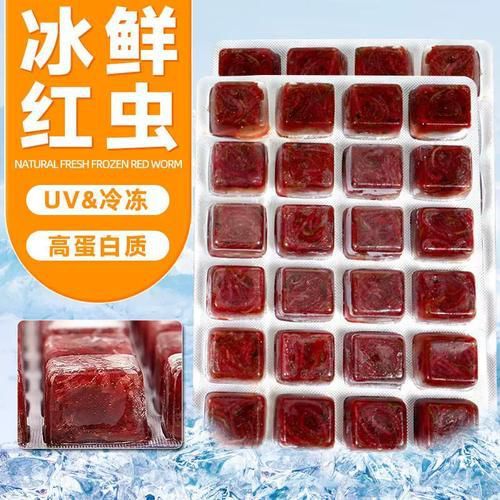 牛心漢堡作為餌料的效果如何？