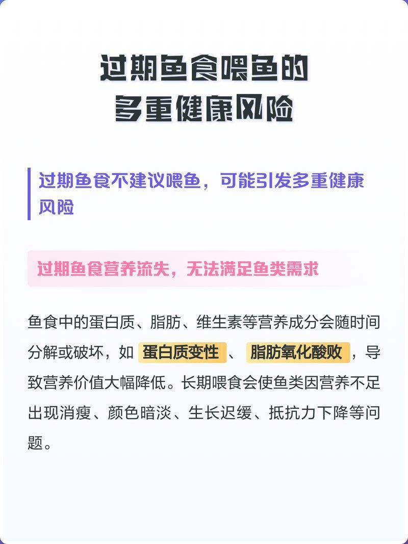 過期魚食喂魚有哪些風險？