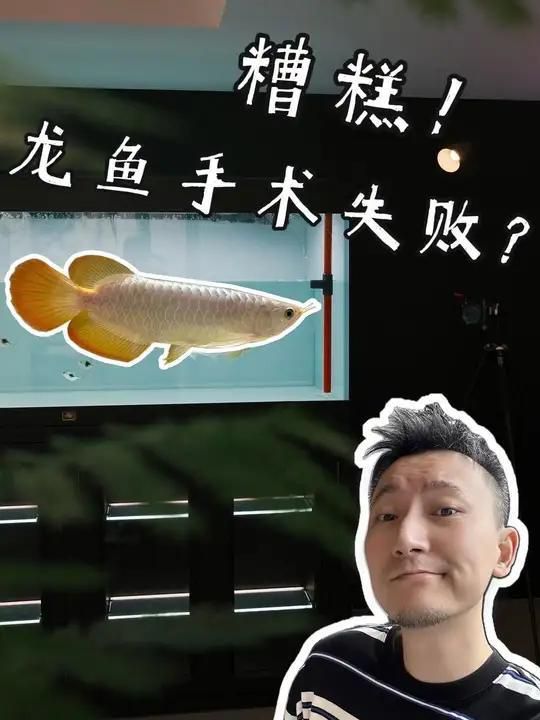 龍魚脫肛能自愈嗎？
