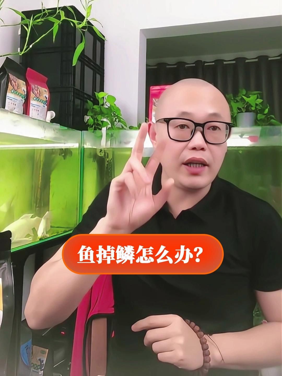 斷鱗后多久會恢復？