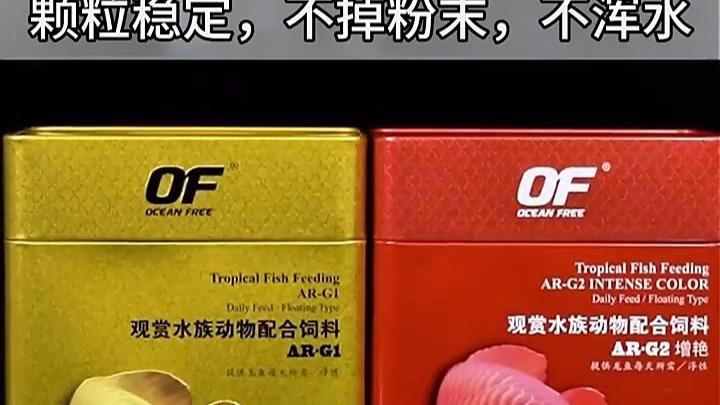 有哪些適合龍魚的飼料？