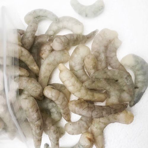 有哪些凍蝦仁品牌適合龍魚？