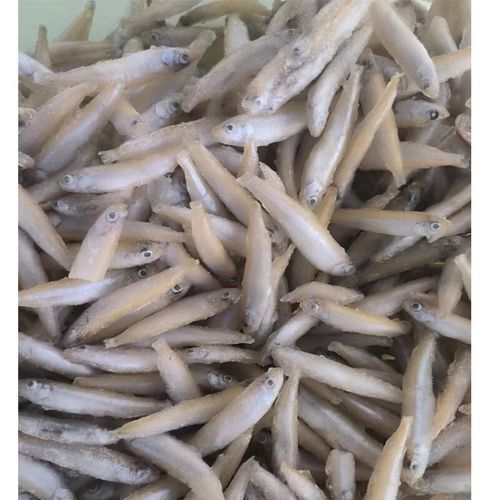 有哪些凍蝦仁品牌適合龍魚？