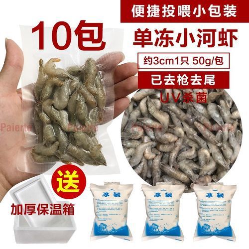 有哪些凍蝦仁品牌適合龍魚？