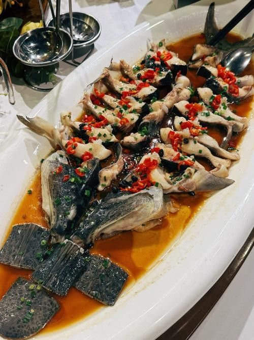 肇慶吃魚哪里比較好