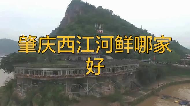 肇慶吃魚哪里比較好