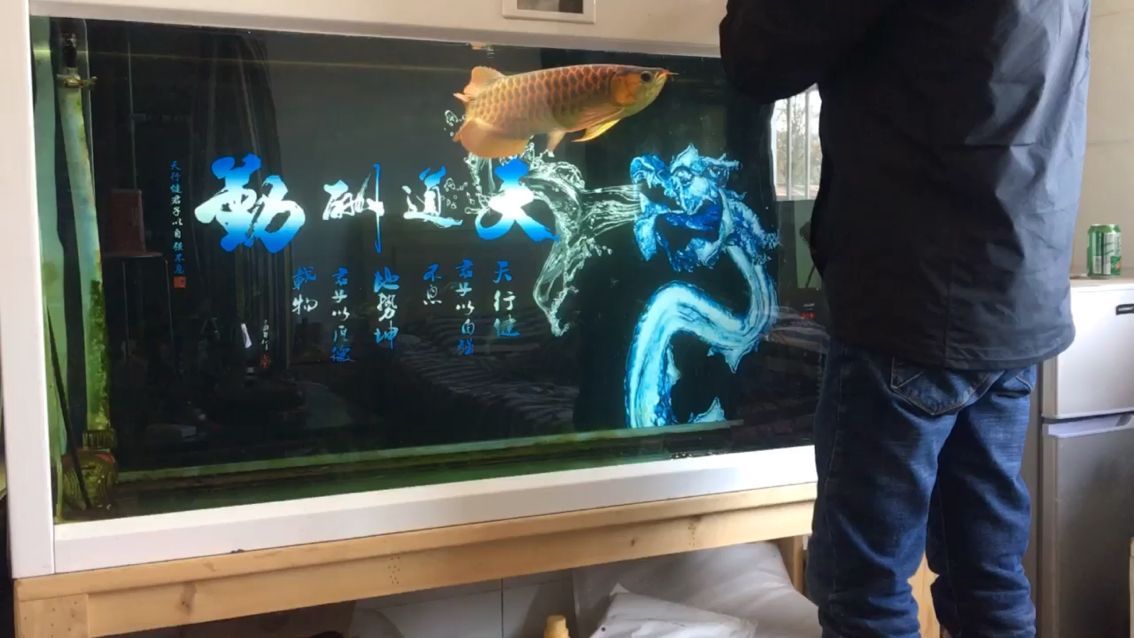 打卡——讓愛龍出來溜溜彎