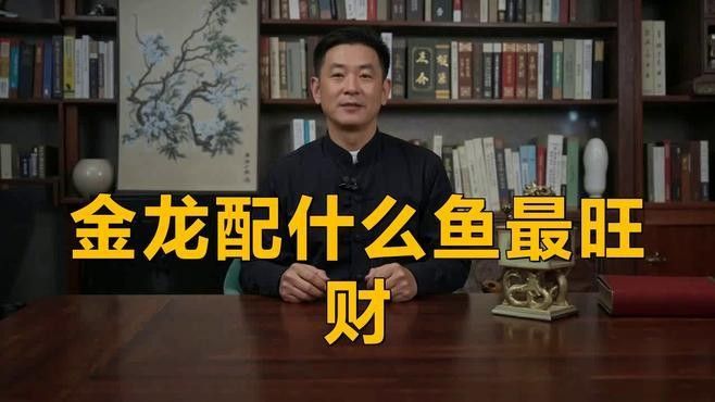 金龍魚配什么魚最合適
